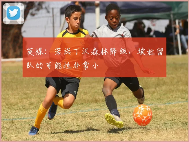 英媒：若诺丁汉森林降级，埃杜留队的可能性非常小