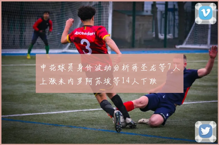 申花球员身价波动分析蒋圣龙等7人上涨米内罗阿苏埃等14人下跌