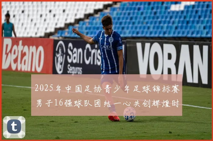 2025年中国足协青少年足球锦标赛男子16强球队团结一心共创辉煌时刻